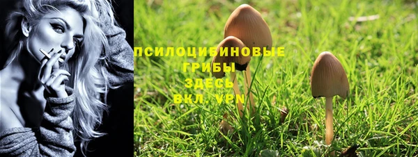 дурь Арсеньев