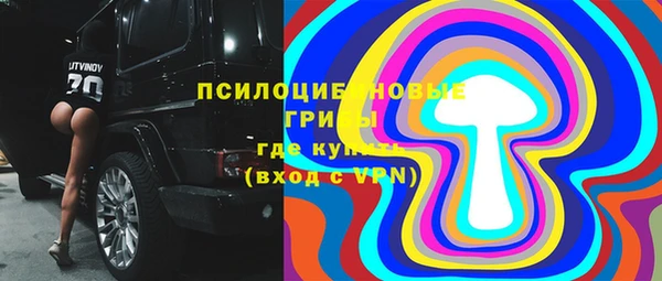 дурь Арсеньев