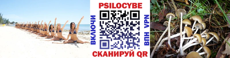 Псилоцибиновые грибы Psilocybe  цена наркотик  Протвино 